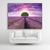 Schallschutzbild Dreamy mit Lavendelfeld, lila farbenen Himmel und Baum. Schwarzer Rahmen im Querformat über weißem Sofa.