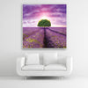 Schallschutzbild Dreamy mit Lavendelfeld, lila farbenen Himmel und Baum. Weißer Rahmen im Quadrat über weißem Sofa.