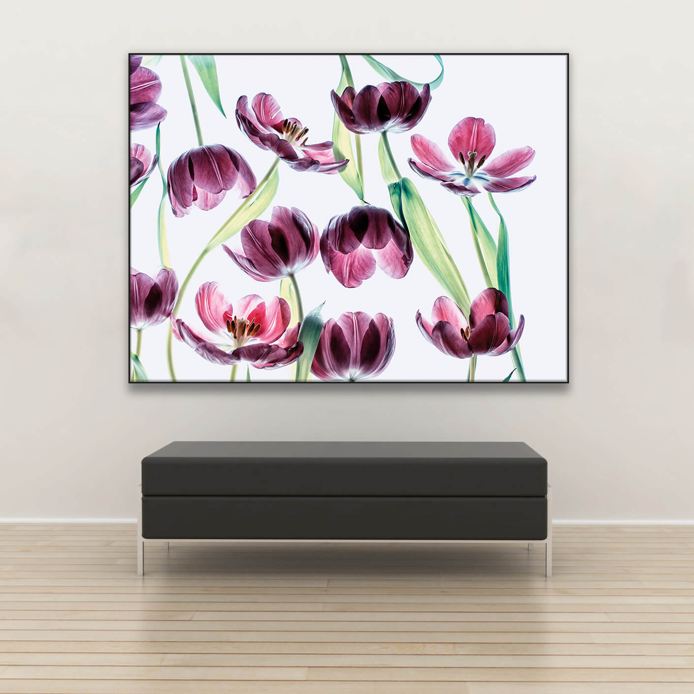 Tysta Akustikbild Licht der Gedanken von Christiane Steinicke. Violette, transparente Tulpen vor weißem Hintergrund. Schwarzer Bilderrahmen im Querformat über Sitzbank.