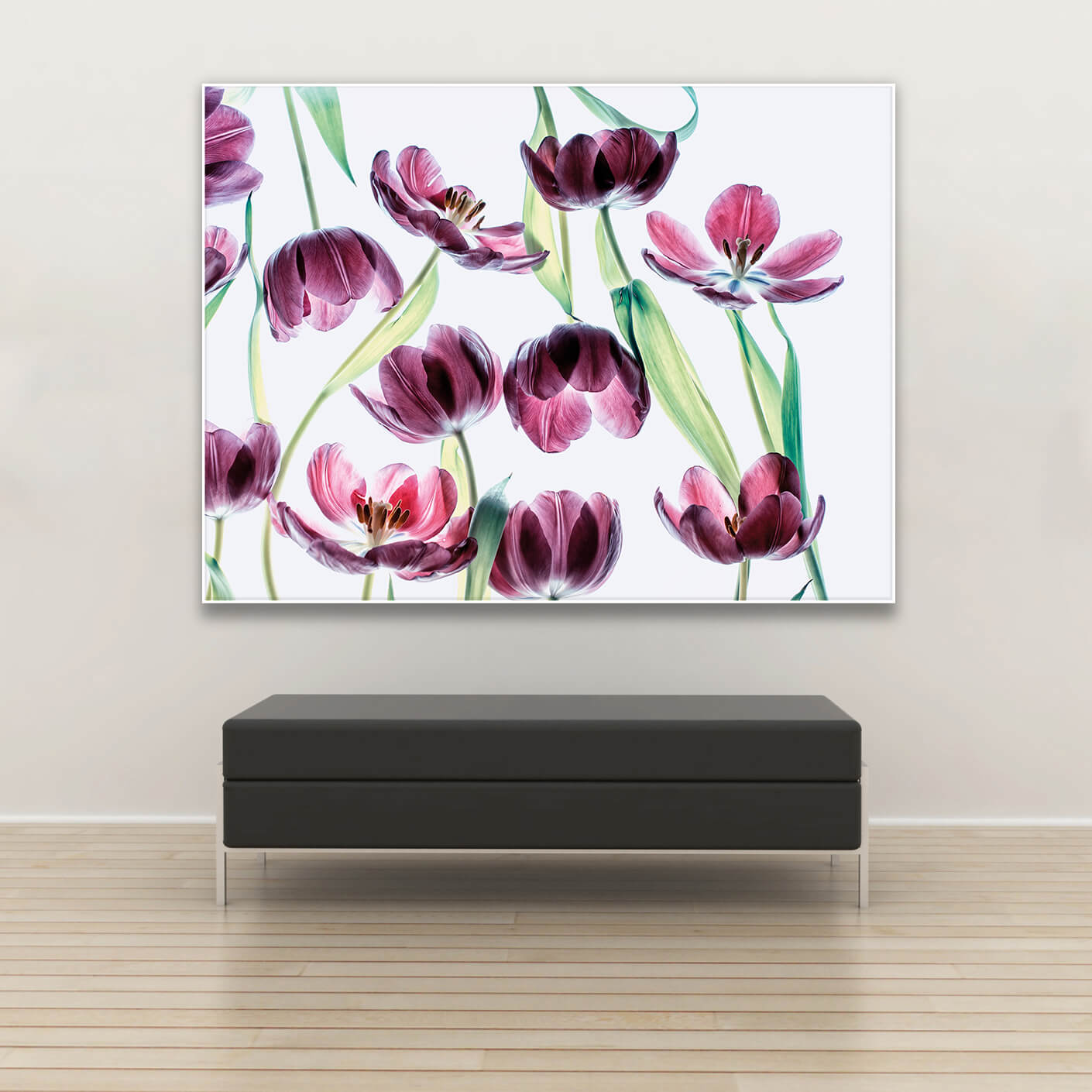 Tysta Akustikbild Licht der Gedanken von Christiane Steinicke. Violette, transparente Tulpen vor weißem Hintergrund. Weißer Bilderrahmen im Querformat über Sitzbank.